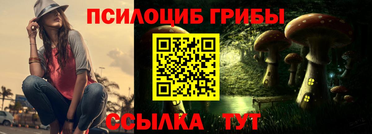 Галлюциногенные грибы мухоморы  Вход с VPN  Галлюциногенные грибы Psilocybe  Баксан 